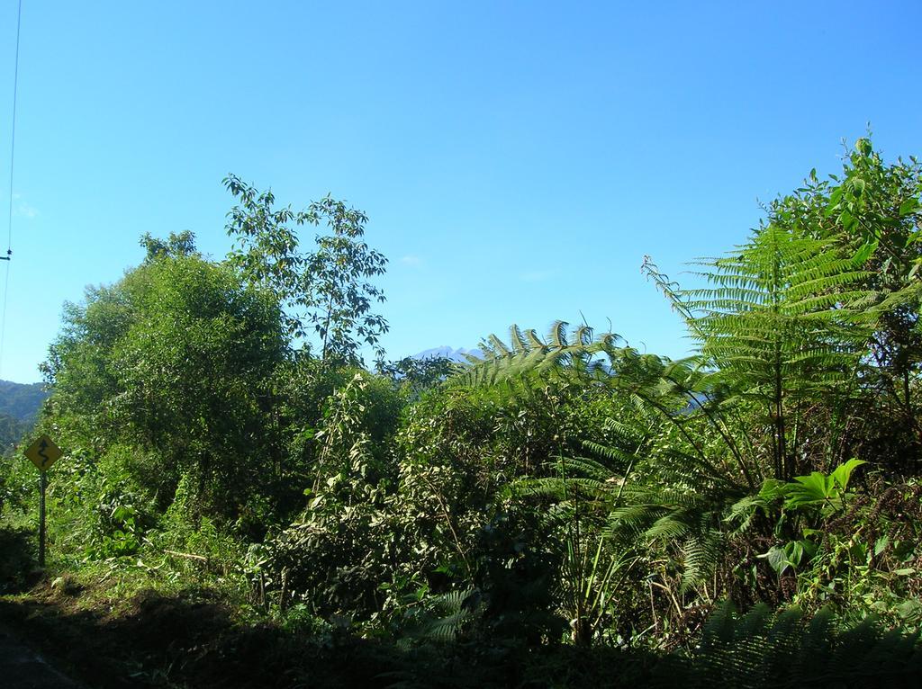 Hosteria La Roulotte - มินโด ภายนอก รูปภาพ